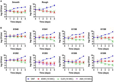 Isoegomaketone exhibits potential as a new Mycobacterium abscessus inhibitor